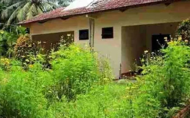 Thanh Kim Nga Resort