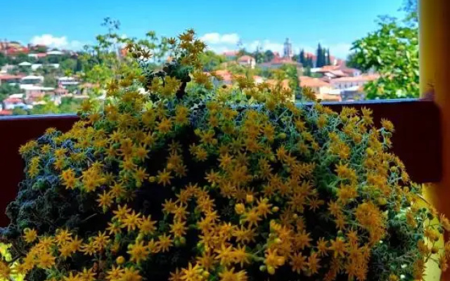Guesthouse ''Door'' in Sighnaghi