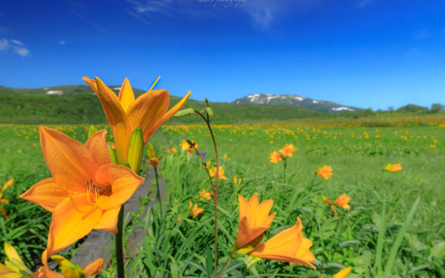 ととのうプレース