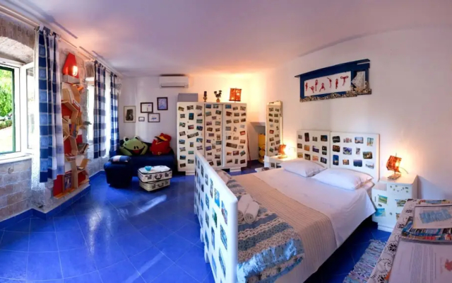 Happy Jackdaw in the Center of Split