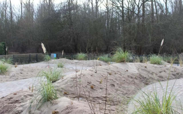 Dünenhaus Wohnung 9