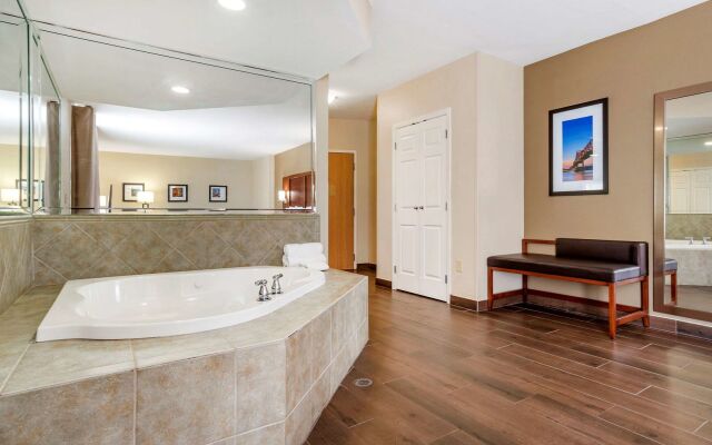 Comfort Suites Airport