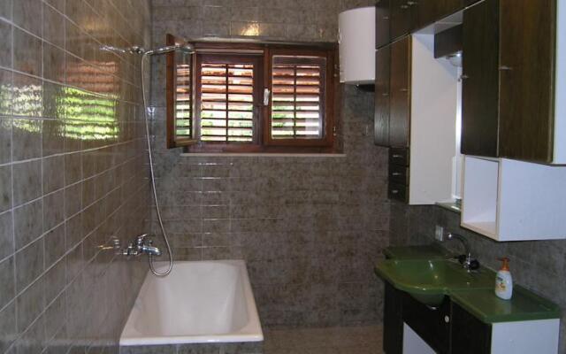 Apartments Domini