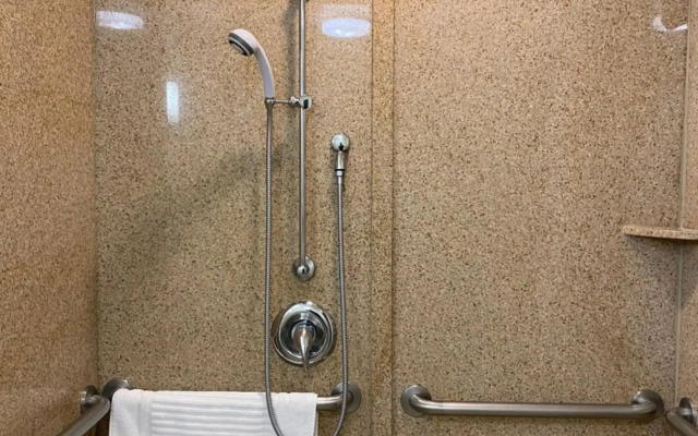 Comfort Suites Rock Hill Manchester Meadows Area