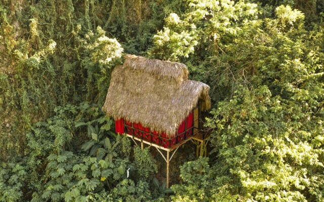 Dominican Tree House