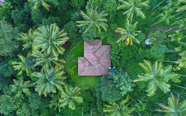 Bamboo Creek Resort