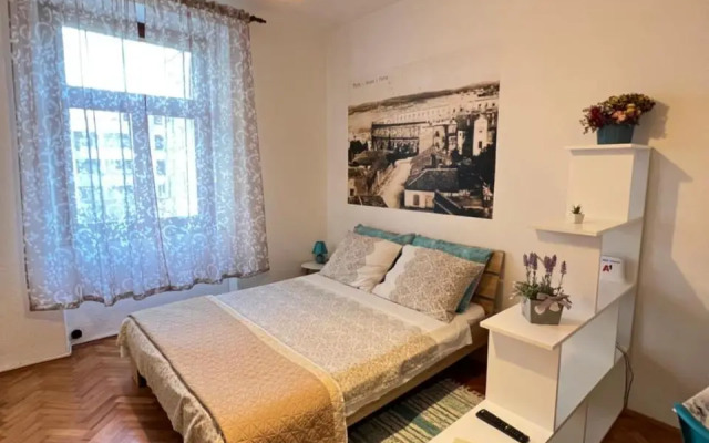 Colorita Studio
