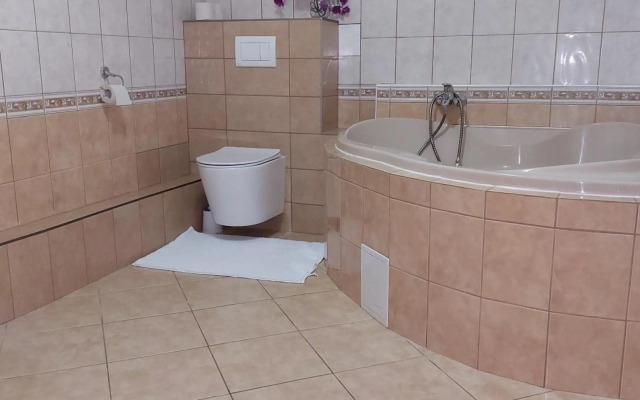 Penzion a bistro U Šelongů - Gentleman