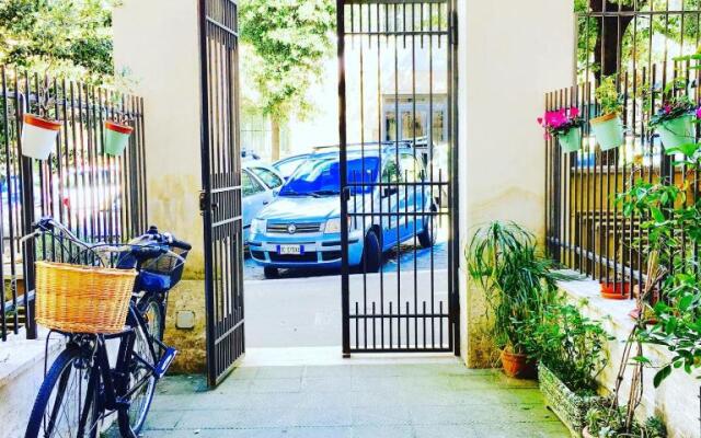 Magenta Classic San Pietro 34B