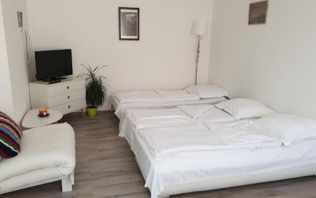Apartament Schiller 58
