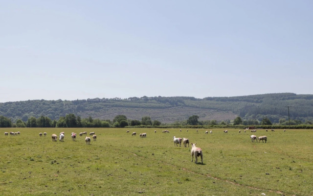 Lower Court Byre