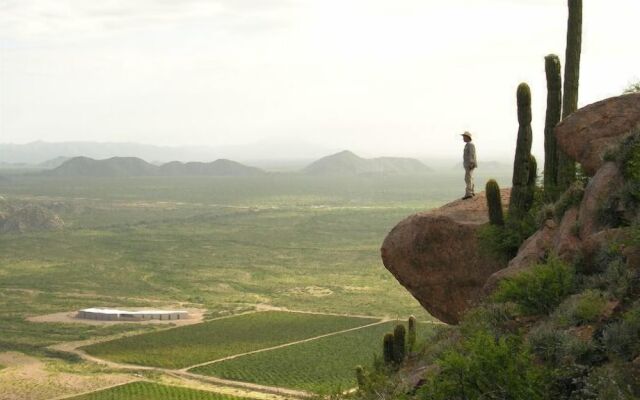 Chañarmuyo Hotel de Vino