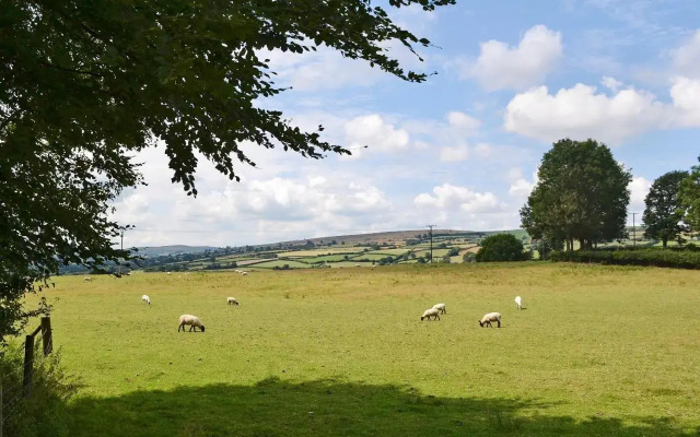 Steep Holm