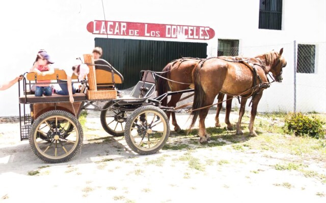 Lagar Los Donceles