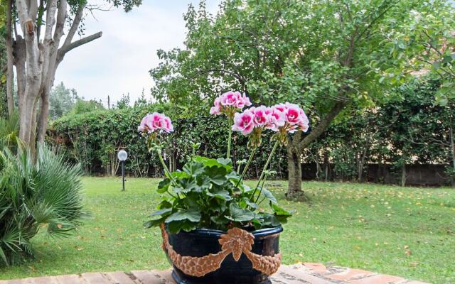 Beautiful Holiday Home in Ardea With Garden
