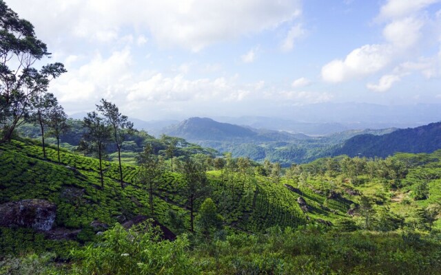 Wild Glamping Knuckles