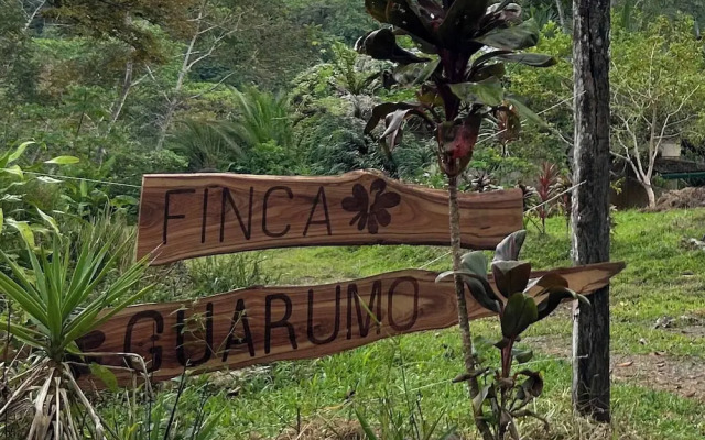 Villa Bruno - Terrace - Jungle - Birdwatching