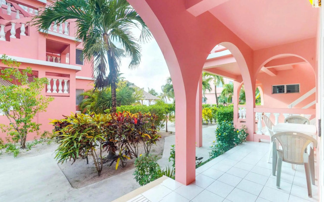 Saponaria 21-22 at Caribe Island Gold Standard Certified