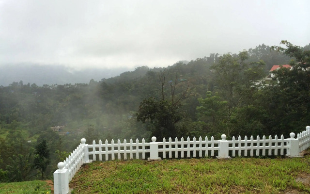 Lilies@Munnar