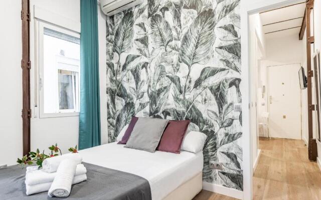 BNBHolder Tropical CENTRE