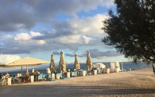 Beach & Palms Apartment