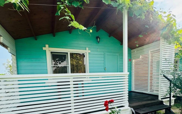 Mozaika (с. Лдзаа)