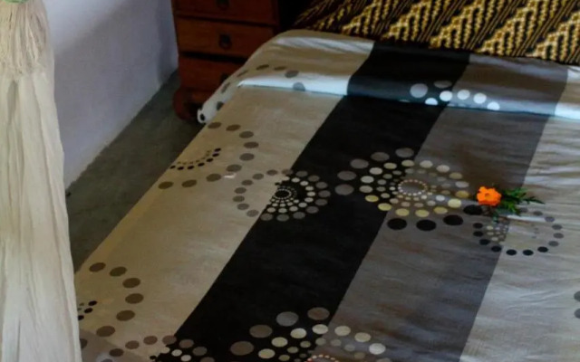 Surf Rote @ Boa Hills Surf House