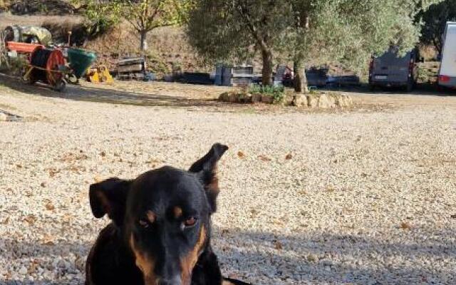 Bastide Bellugue Maison d'hôtes réseau Bienvenue à La Ferme à 3 minutes de Lourmarin