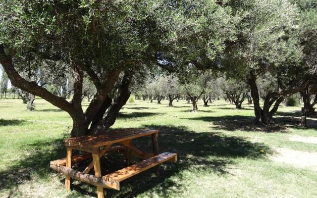 Tree House Hostel