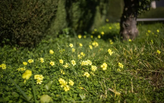 VILLA GIPSY, Villefranche-sur-Mer