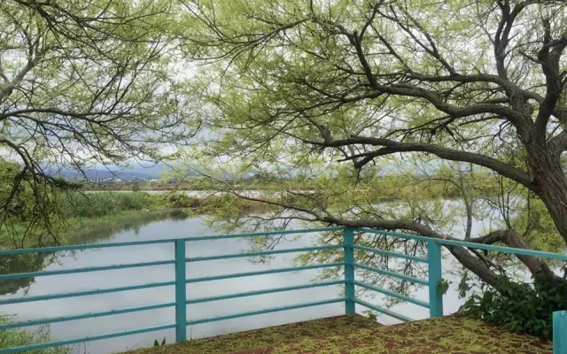 Rainbow Bay Bed and Breakfast
