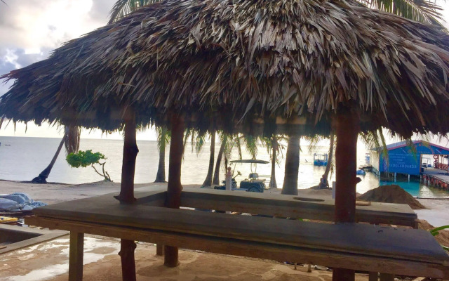 The Palapa House