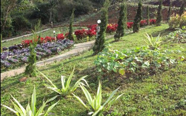 Phu Mok Dok Mai Resort