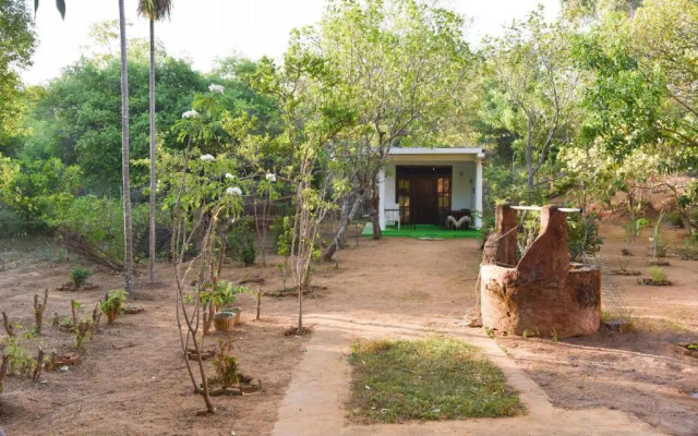 Sigiri Elephant View Guest