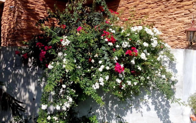 No.58 Garden Bed and Breakfast