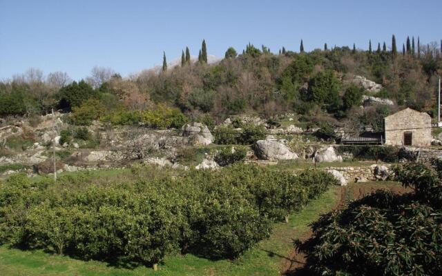 Konavle Apartments Zlatovisce