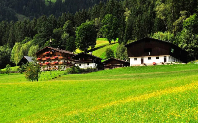 Bauernhof Appartement  Peil