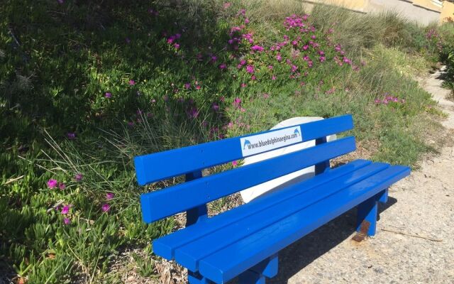 Blue Dolphin Studios & Apartment