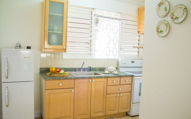 Kingston Luxury Condo Apartment
