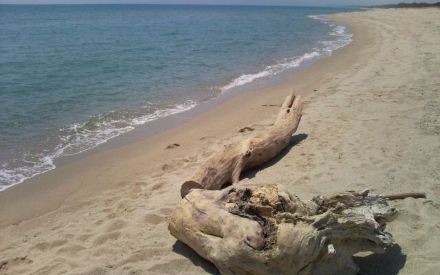 Agriturismo La Casa Di Botro