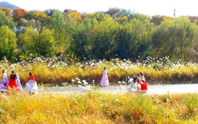 Jeonju Dalbityang Guest House