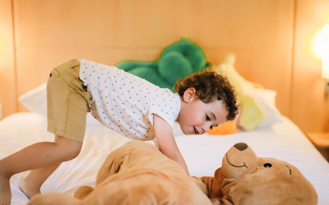 Ibis Aix en Provence Hotel