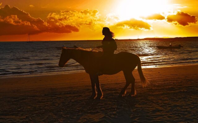 Aquarius on the Beach