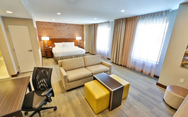 Fairfield Inn & Suites by Marriott Savannah Midtown