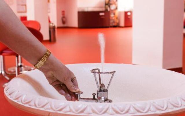 Hotel Cerbul