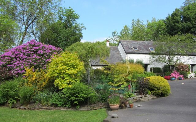Brynarth Country Guest House