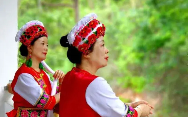 Dali rainforest time inn