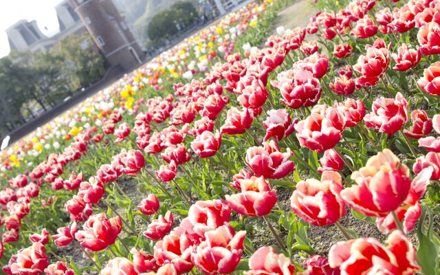 Hotel Den Haag Huis Ten Bosch