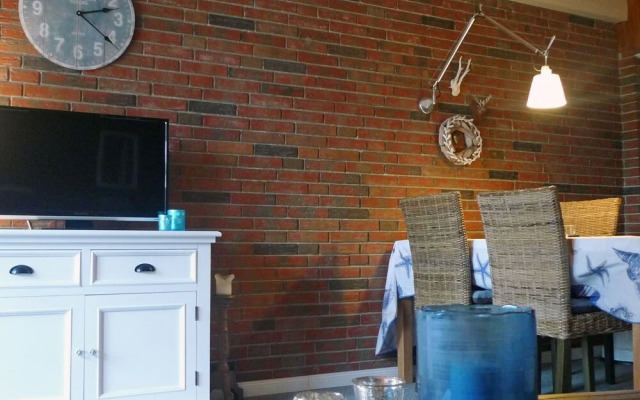 Mondmuschel Norden in Norden