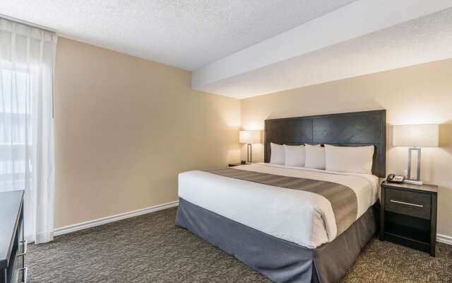 Chase Suite Hotel El Paso